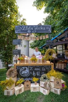 2024-08-30 Kul Petek-1